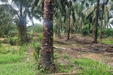 Bandar Seri Perani Kota Tinggi