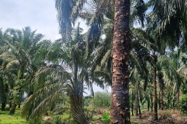 Bandar Seri Perani Kota Tinggi