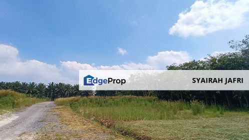 Batu 15 Kg Tenang Ulu Tiram Village Land For Sale Convert Building Status, Johor, Ulu Tiram