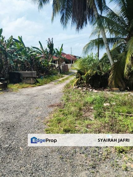 Palm Oil Plantations For Sale Kota Tinggi Freehold  , Johor, Kota Tinggi
