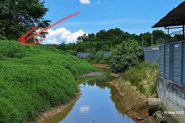 Vacant Land For Sale / For Rent Pasir Gudang Freehold  