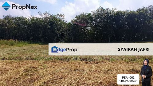 Batu 15 Kg Tenang Ulu Tiram Village Land For Sale Convert Building Status, Johor, Ulu Tiram