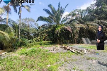 Palm Oil Plantations For Sale Kota Tinggi Freehold  
