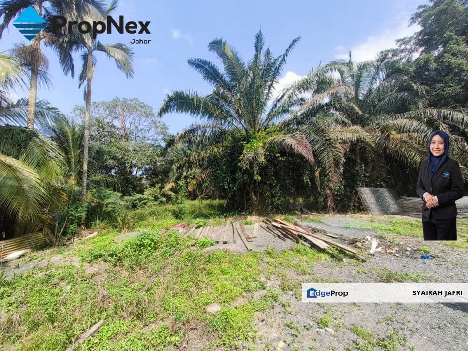 Palm Oil Plantations For Sale Kota Tinggi Freehold  , Johor, Kota Tinggi