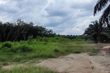 𝙏𝘼𝙉𝘼𝙃 𝙇𝙊𝙏 𝙋𝘼𝙂𝙊𝙃 / 𝙈𝙐𝘼𝙍 𝙋𝘼𝙉𝙅𝘼𝙉𝙂 𝙎𝘼𝙍𝙄 (𝙈𝙐𝙆𝙄𝙈 𝙅𝙊𝙍𝘼𝙆)  