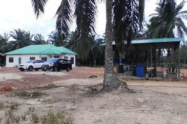 𝙏𝘼𝙉𝘼𝙃 𝙇𝙊𝙏 𝙋𝘼𝙂𝙊𝙃 / 𝙈𝙐𝘼𝙍 𝙋𝘼𝙉𝙅𝘼𝙉𝙂 𝙎𝘼𝙍𝙄 (𝙈𝙐𝙆𝙄𝙈 𝙅𝙊𝙍𝘼𝙆)  