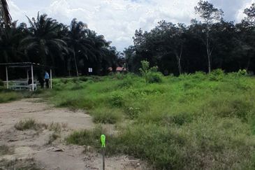 𝙏𝘼𝙉𝘼𝙃 𝙇𝙊𝙏 𝙋𝘼𝙂𝙊𝙃 / 𝙈𝙐𝘼𝙍 𝙋𝘼𝙉𝙅𝘼𝙉𝙂 𝙎𝘼𝙍𝙄 (𝙈𝙐𝙆𝙄𝙈 𝙅𝙊𝙍𝘼𝙆)  