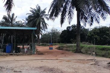 𝙏𝘼𝙉𝘼𝙃 𝙇𝙊𝙏 𝙋𝘼𝙂𝙊𝙃 / 𝙈𝙐𝘼𝙍 𝙋𝘼𝙉𝙅𝘼𝙉𝙂 𝙎𝘼𝙍𝙄 (𝙈𝙐𝙆𝙄𝙈 𝙅𝙊𝙍𝘼𝙆)  