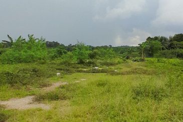 𝗧𝗔𝗡𝗔𝗛 𝗟𝗢𝗧 𝗧𝗔𝗡𝗚𝗞𝗔𝗞 𝗧𝗔𝗠𝗔𝗡 𝗠𝗘𝗚𝗔 𝗥𝗔𝗬𝗔 (𝗠𝗨𝗞𝗜𝗠 𝗧𝗔𝗡𝗚𝗞𝗔𝗞)  