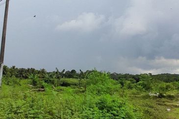 𝗧𝗔𝗡𝗔𝗛 𝗟𝗢𝗧 𝗧𝗔𝗡𝗚𝗞𝗔𝗞 𝗧𝗔𝗠𝗔𝗡 𝗠𝗘𝗚𝗔 𝗥𝗔𝗬𝗔 (𝗠𝗨𝗞𝗜𝗠 𝗧𝗔𝗡𝗚𝗞𝗔𝗞)  