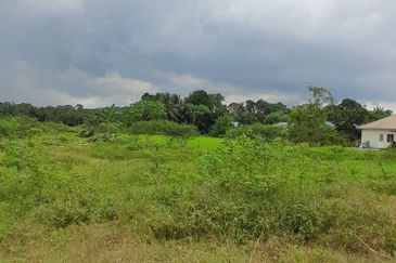 𝗧𝗔𝗡𝗔𝗛 𝗟𝗢𝗧 𝗧𝗔𝗡𝗚𝗞𝗔𝗞 𝗧𝗔𝗠𝗔𝗡 𝗠𝗘𝗚𝗔 𝗥𝗔𝗬𝗔 (𝗠𝗨𝗞𝗜𝗠 𝗧𝗔𝗡𝗚𝗞𝗔𝗞)  