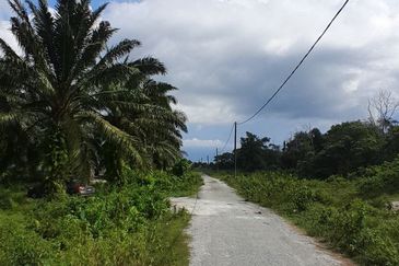 𝑻𝑨𝑵𝑨𝑯 𝑳𝑶𝑻 𝑻𝑬𝑳𝑼𝑲 𝑱𝑬𝑹𝑰 𝑺𝑬𝑫𝑰𝑳𝑰 𝑩𝑬𝑺𝑨𝑹 𝑲𝑶𝑻𝑨 𝑻𝑰𝑵𝑮𝑮𝑰 