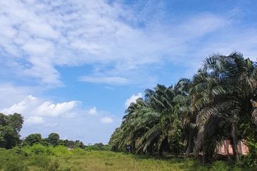 𝑻𝑨𝑵𝑨𝑯 𝑳𝑶𝑻 𝑻𝑬𝑳𝑼𝑲 𝑱𝑬𝑹𝑰 𝑺𝑬𝑫𝑰𝑳𝑰 𝑩𝑬𝑺𝑨𝑹 𝑲𝑶𝑻𝑨 𝑻𝑰𝑵𝑮𝑮𝑰 