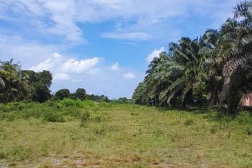 𝑻𝑨𝑵𝑨𝑯 𝑳𝑶𝑻 𝑻𝑬𝑳𝑼𝑲 𝑱𝑬𝑹𝑰 𝑺𝑬𝑫𝑰𝑳𝑰 𝑩𝑬𝑺𝑨𝑹 𝑲𝑶𝑻𝑨 𝑻𝑰𝑵𝑮𝑮𝑰 