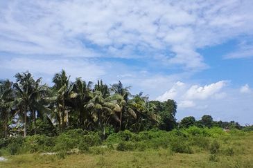 𝑻𝑨𝑵𝑨𝑯 𝑳𝑶𝑻 𝑻𝑬𝑳𝑼𝑲 𝑱𝑬𝑹𝑰 𝑺𝑬𝑫𝑰𝑳𝑰 𝑩𝑬𝑺𝑨𝑹 𝑲𝑶𝑻𝑨 𝑻𝑰𝑵𝑮𝑮𝑰 