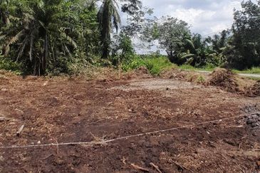 𝙏𝘼𝙉𝘼𝙃 𝙇𝙊𝙏 𝙈𝙐𝙍𝘼𝙃 𝙋𝘼𝙍𝙄𝙏 𝙅𝘼𝙈𝘼𝙇 𝘽𝙀𝙉𝙐𝙏 𝙋𝙊𝙉𝙏𝙄𝘼𝙉 