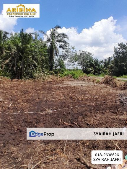 𝙏𝘼𝙉𝘼𝙃 𝙇𝙊𝙏 𝙈𝙐𝙍𝘼𝙃 𝙋𝘼𝙍𝙄𝙏 𝙅𝘼𝙈𝘼𝙇 𝘽𝙀𝙉𝙐𝙏 𝙋𝙊𝙉𝙏𝙄𝘼𝙉 , Johor, Benut