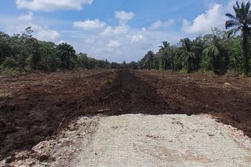 𝙏𝘼𝙉𝘼𝙃 𝙇𝙊𝙏 𝙈𝙐𝙍𝘼𝙃 𝙋𝘼𝙍𝙄𝙏 𝙅𝘼𝙈𝘼𝙇 𝘽𝙀𝙉𝙐𝙏 𝙋𝙊𝙉𝙏𝙄𝘼𝙉 