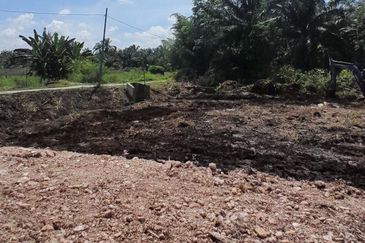 𝙏𝘼𝙉𝘼𝙃 𝙇𝙊𝙏 𝙈𝙐𝙍𝘼𝙃 𝙋𝘼𝙍𝙄𝙏 𝙅𝘼𝙈𝘼𝙇 𝘽𝙀𝙉𝙐𝙏 𝙋𝙊𝙉𝙏𝙄𝘼𝙉 