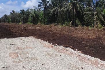 𝙏𝘼𝙉𝘼𝙃 𝙇𝙊𝙏 𝙈𝙐𝙍𝘼𝙃 𝙋𝘼𝙍𝙄𝙏 𝙅𝘼𝙈𝘼𝙇 𝘽𝙀𝙉𝙐𝙏 𝙋𝙊𝙉𝙏𝙄𝘼𝙉 