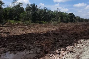 𝙏𝘼𝙉𝘼𝙃 𝙇𝙊𝙏 𝙈𝙐𝙍𝘼𝙃 𝙋𝘼𝙍𝙄𝙏 𝙅𝘼𝙈𝘼𝙇 𝘽𝙀𝙉𝙐𝙏 𝙋𝙊𝙉𝙏𝙄𝘼𝙉 