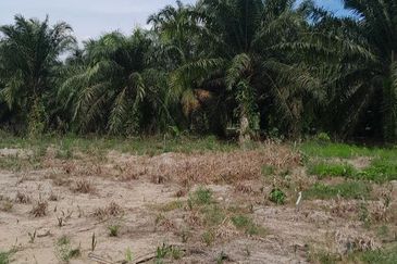 𝗔𝗡𝗔𝗛 𝗟𝗢𝗧 𝗠𝗨𝗥𝗔𝗛 𝗣𝗔𝗥𝗜𝗧 𝗟𝗔𝗣𝗜𝗦 𝗦𝗘𝗠𝗔𝗥𝗔𝗡𝗚 𝗕𝗔𝗧𝗨 𝗣𝗔𝗛𝗔T