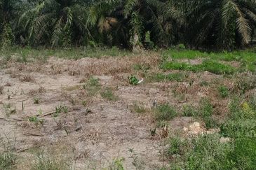 𝗔𝗡𝗔𝗛 𝗟𝗢𝗧 𝗠𝗨𝗥𝗔𝗛 𝗣𝗔𝗥𝗜𝗧 𝗟𝗔𝗣𝗜𝗦 𝗦𝗘𝗠𝗔𝗥𝗔𝗡𝗚 𝗕𝗔𝗧𝗨 𝗣𝗔𝗛𝗔T