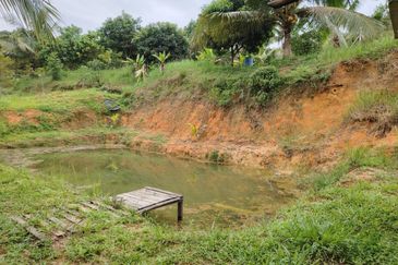 𝗧𝗔𝗡𝗔𝗛 𝗕𝗨𝗞𝗜𝗧 𝗗𝗔𝗚𝗔𝗡𝗚 𝗨𝗟𝗨 𝗧𝗜𝗥𝗔𝗠 