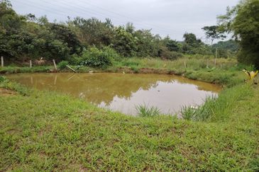 𝗧𝗔𝗡𝗔𝗛 𝗕𝗨𝗞𝗜𝗧 𝗗𝗔𝗚𝗔𝗡𝗚 𝗨𝗟𝗨 𝗧𝗜𝗥𝗔𝗠 