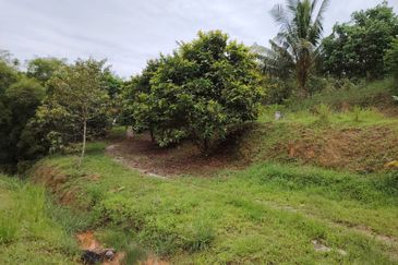 𝗧𝗔𝗡𝗔𝗛 𝗕𝗨𝗞𝗜𝗧 𝗗𝗔𝗚𝗔𝗡𝗚 𝗨𝗟𝗨 𝗧𝗜𝗥𝗔𝗠 