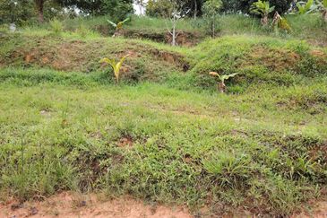 𝗧𝗔𝗡𝗔𝗛 𝗕𝗨𝗞𝗜𝗧 𝗗𝗔𝗚𝗔𝗡𝗚 𝗨𝗟𝗨 𝗧𝗜𝗥𝗔𝗠 