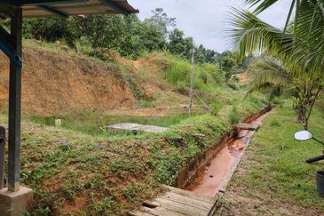 𝗧𝗔𝗡𝗔𝗛 𝗕𝗨𝗞𝗜𝗧 𝗗𝗔𝗚𝗔𝗡𝗚 𝗨𝗟𝗨 𝗧𝗜𝗥𝗔𝗠 