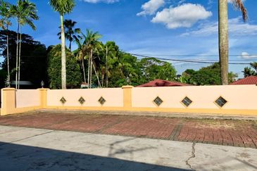 Stulang Laut / Darat