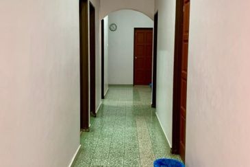 Stulang Laut / Darat