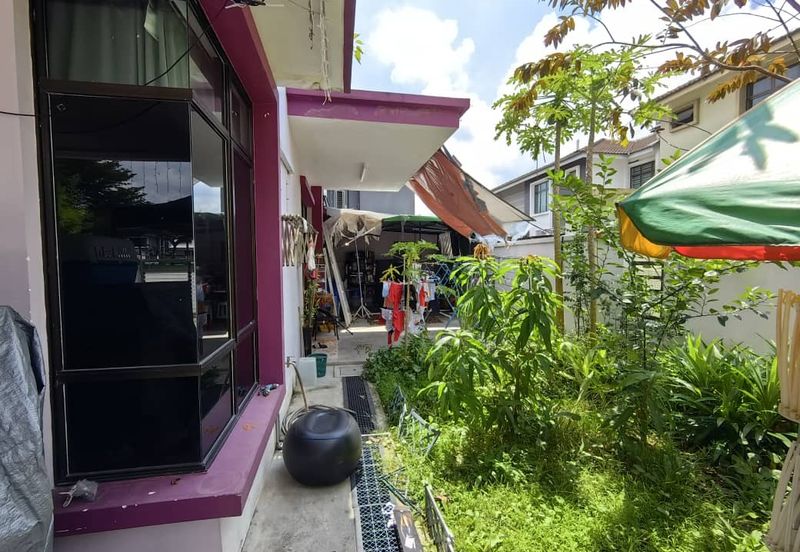 Maple Red, Adda Heights