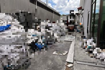 Setia Business Park 2