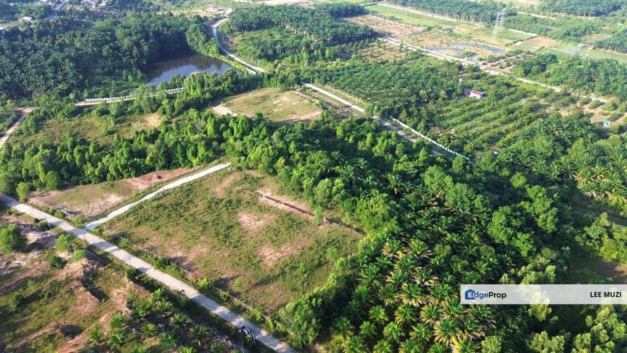 GOPENG PERAK FREEHOLD AGRICULTURAL LAND WATER ELECTRICITY READY TO CONNECT FOR SALE, Perak, Kampar