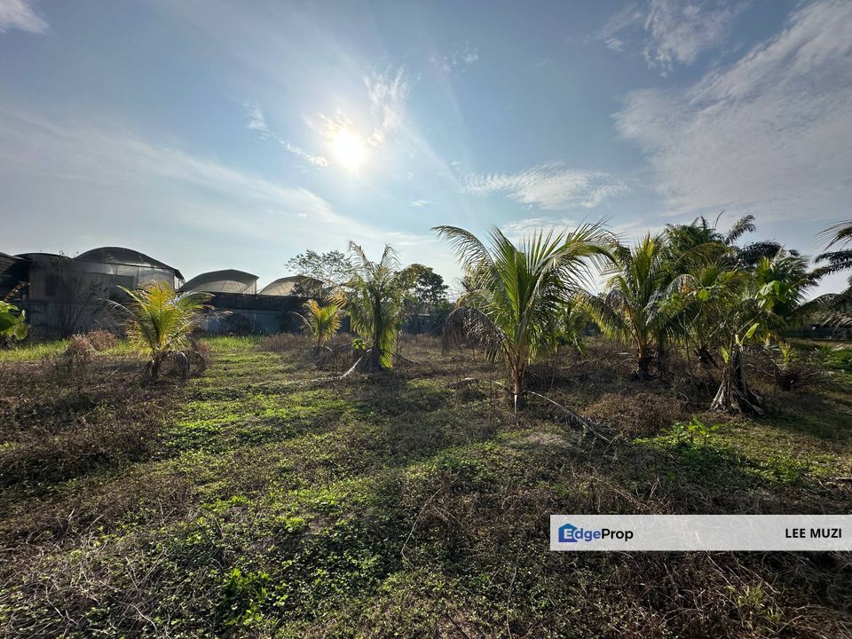 GOPENG IPOH PERAK AGRICULTURAL FLAT LAND FREEHOLD FACING MAIN ROAD FOR SALE, Perak, Kampar