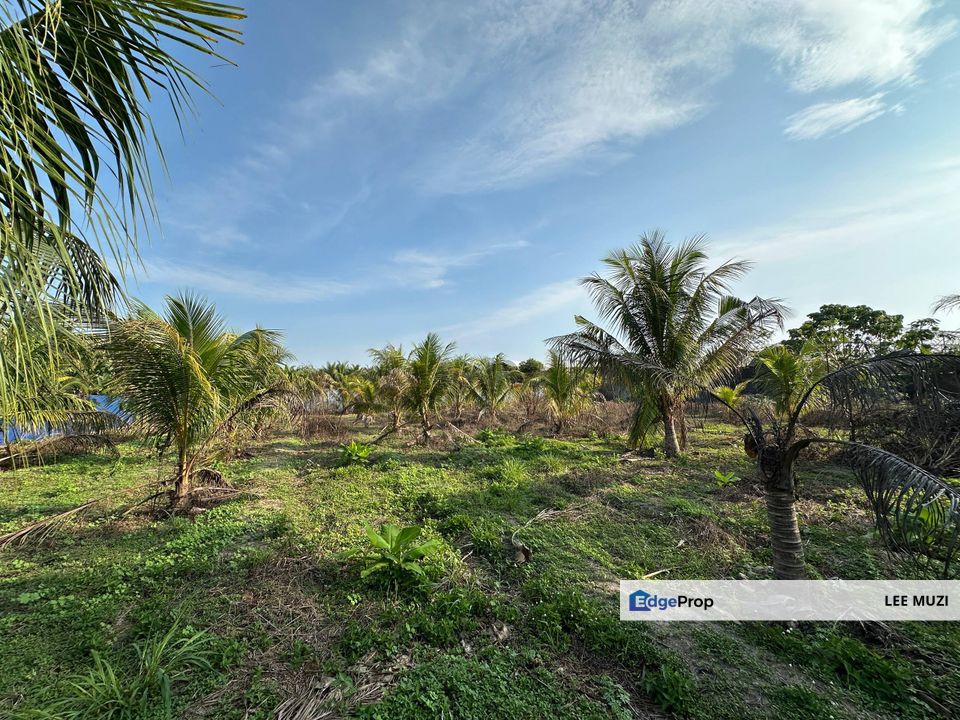 GOPENG IPOH PERAK AGRICULTURAL FLAT LAND FREEHOLD FACING MAIN ROAD FOR SALE, Perak, Kampar