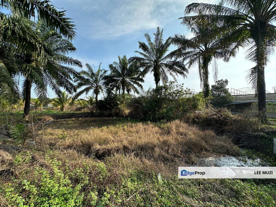 GOPENG IPOH PERAK AGRICULTURAL FLAT LAND FREEHOLD FACING MAIN ROAD FOR SALE, Perak, Kampar
