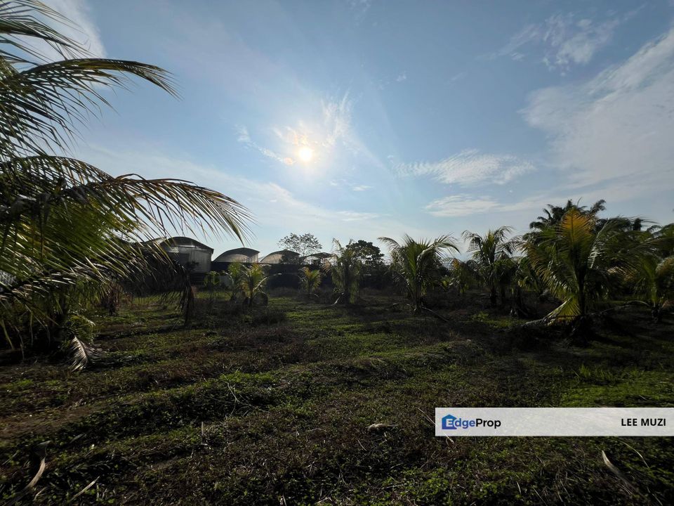 GOPENG IPOH PERAK AGRICULTURAL FLAT LAND FREEHOLD FACING MAIN ROAD FOR SALE, Perak, Kampar