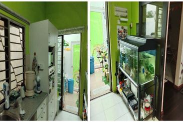 Rumah Pangsa Kayu Ara