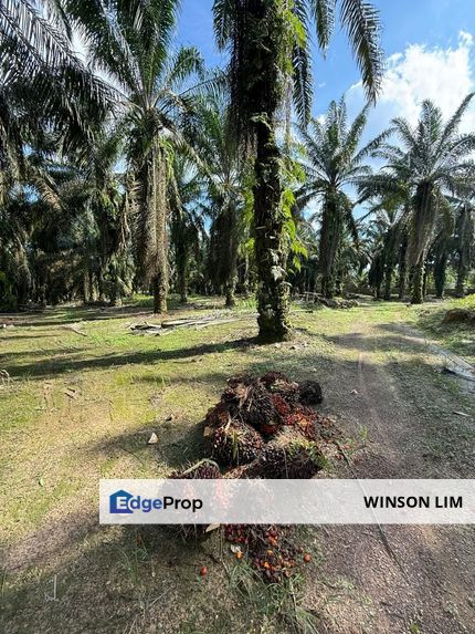 Simpang Renggam From Town Area 5min Land For Sale, Johor, Kluang