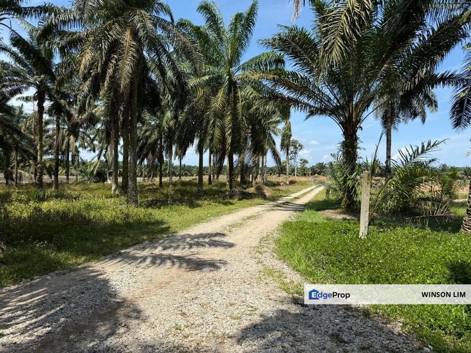 Simpang Renggam Machap Land for Sale, Johor, Simpang Renggam