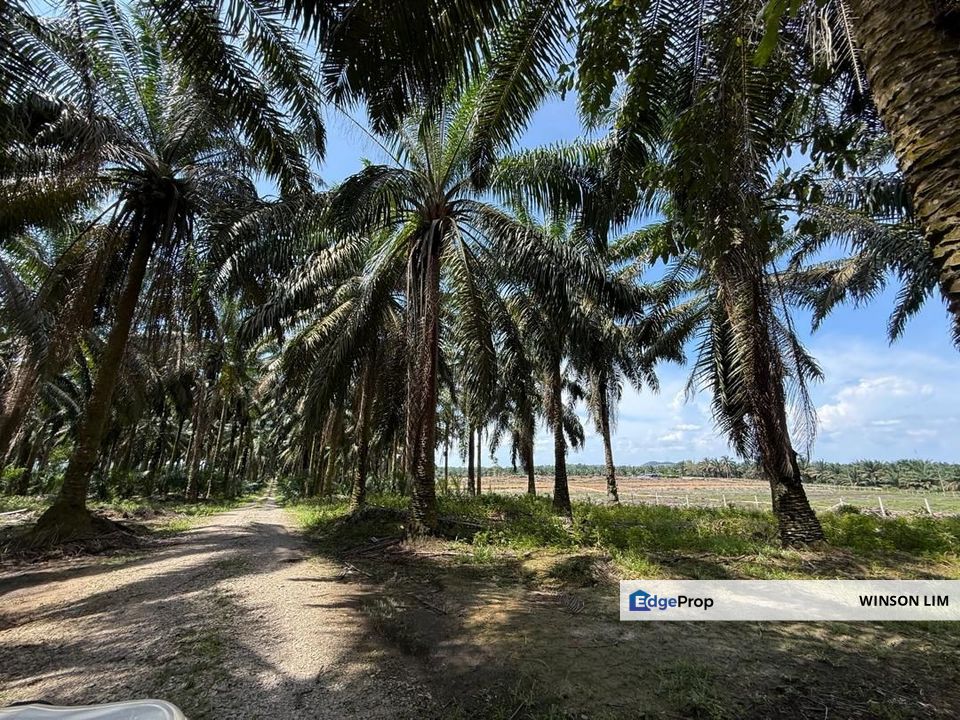 Simpang Renggam Machap Land for Sale, Johor, Simpang Renggam