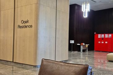 The Ooak (Kiara 163)