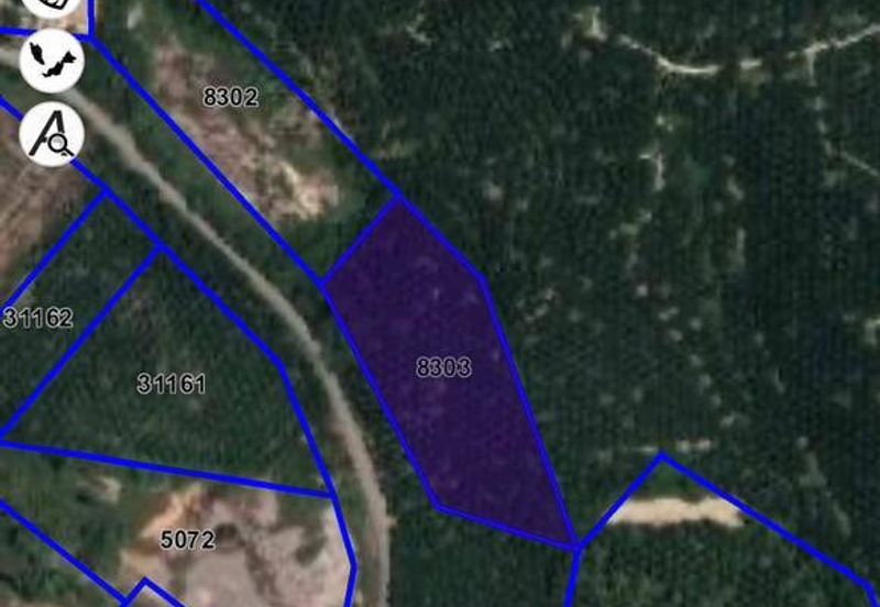 🔥 FIRST LAYER LAND FOR SALE – FREEHOLD OPEN LAND, SEDENAK (KULAI) 🔥