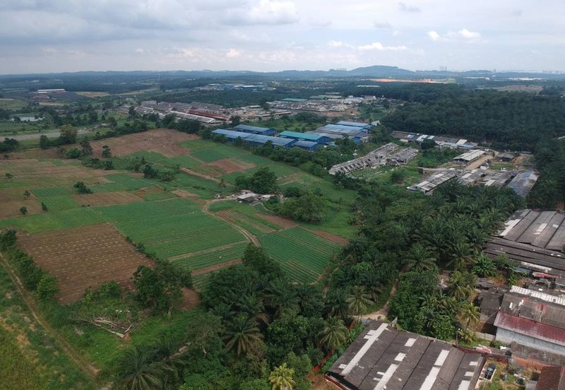 🔥 BAN FOO LAND FOR SALE – FREEHOLD AGRICULTURAL LAND (MUKIM PLENTONG, JOHOR BAHRU) 🔥
