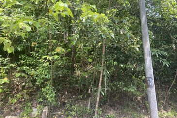 4 ACRES AGRI LAND FOR SALE