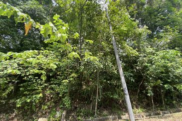 4 ACRES AGRI LAND FOR SALE